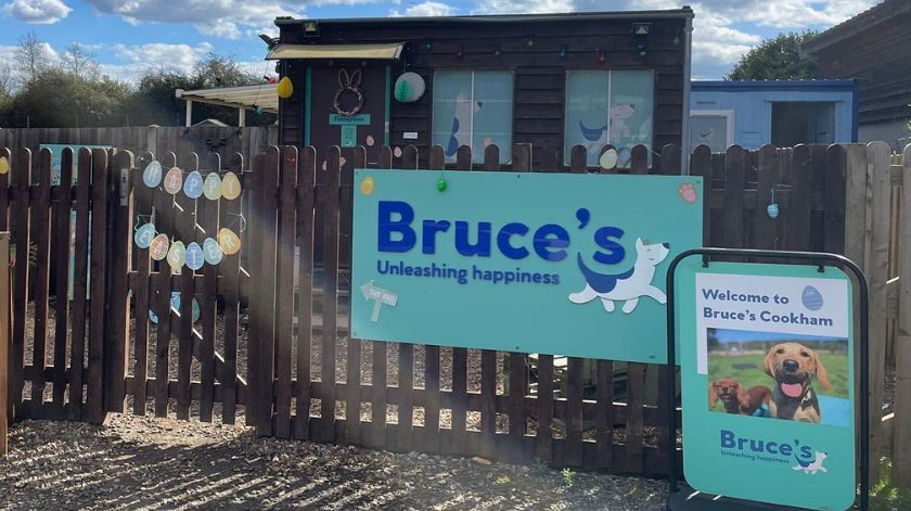 Bruce’s Doggy Day Care